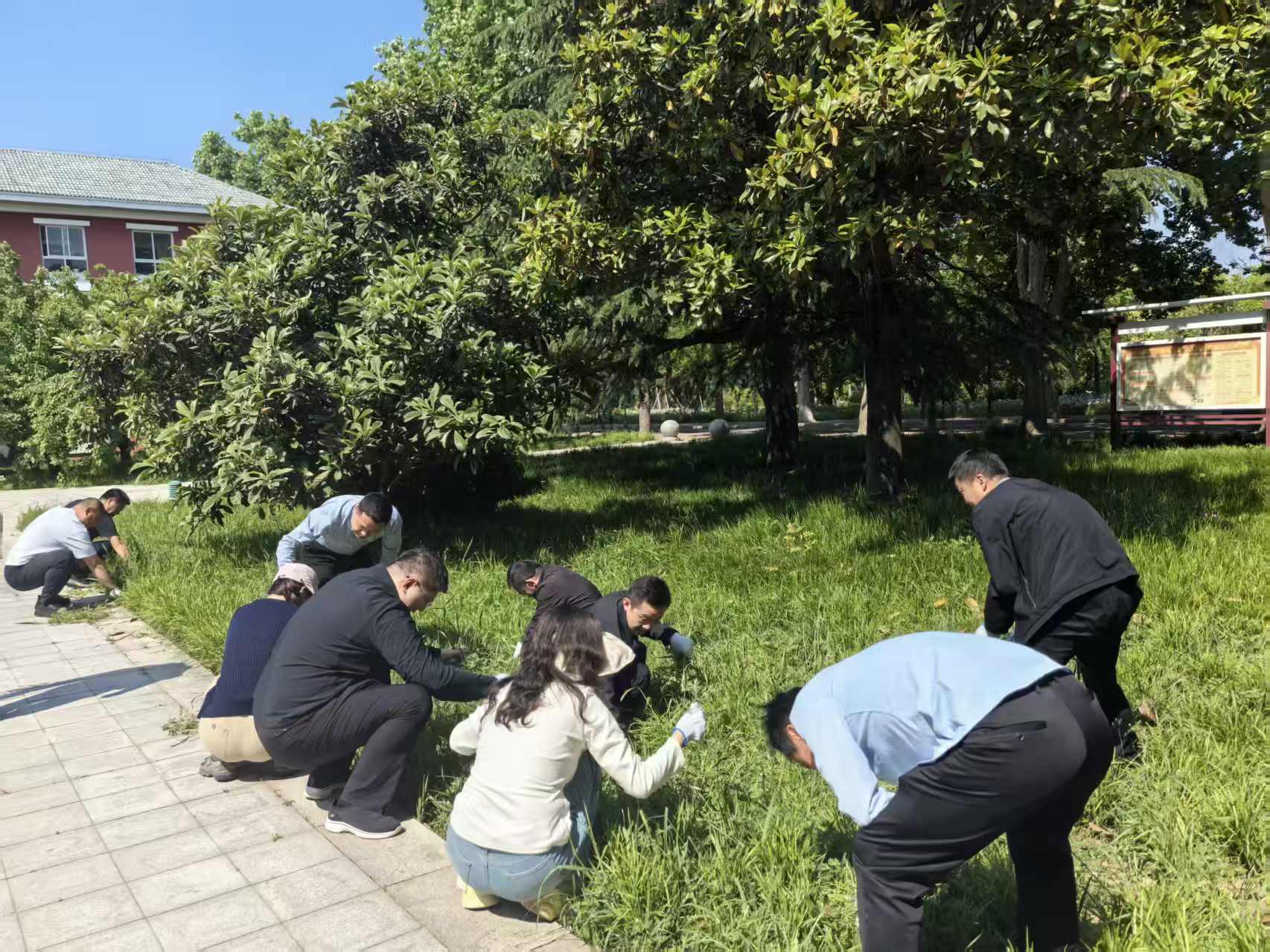 深耕文明校园  践行服务初心——我校组织全体教职工开展五一义务劳动(图2)