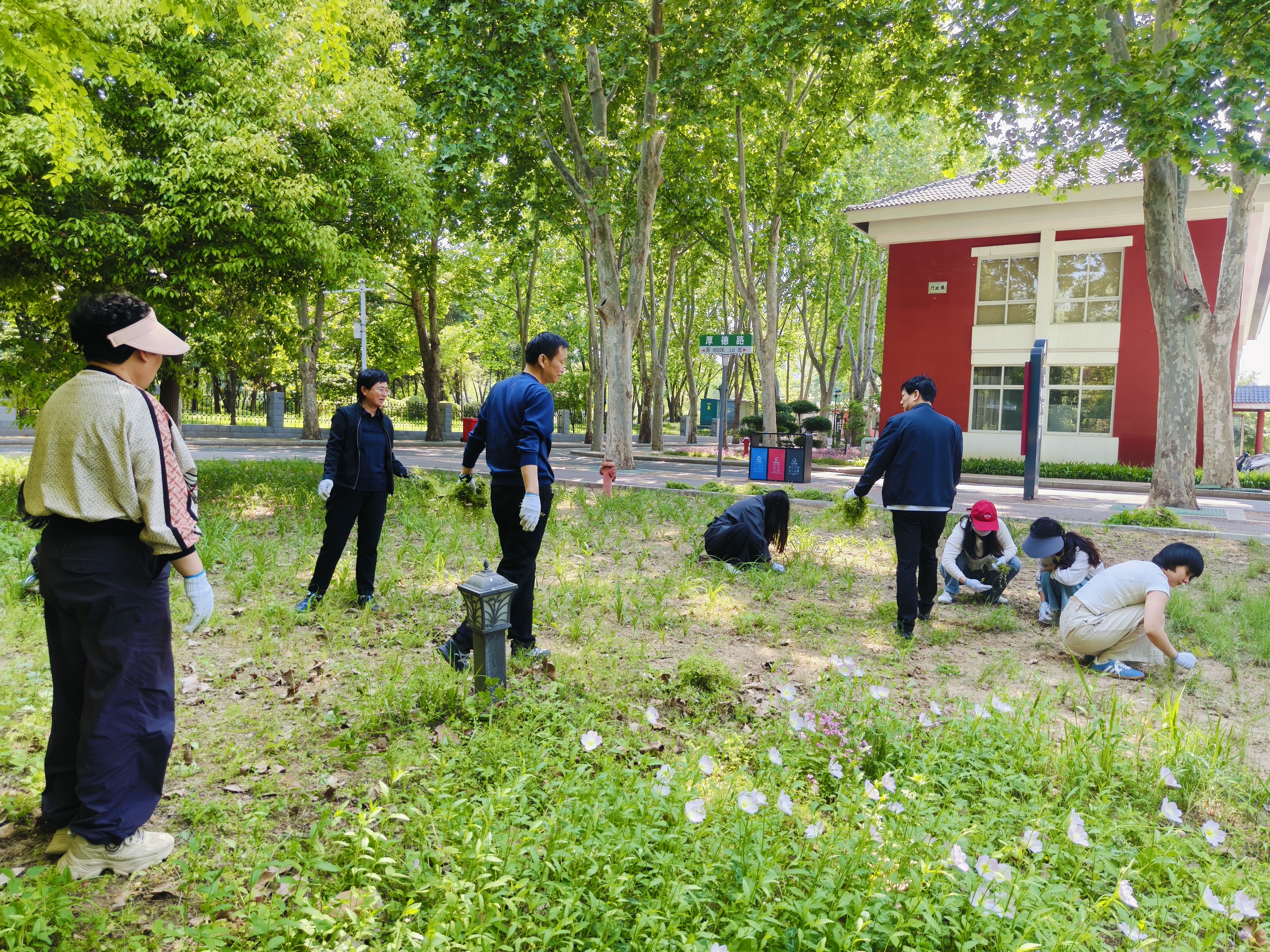 深耕文明校园  践行服务初心——我校组织全体教职工开展五一义务劳动(图1)
